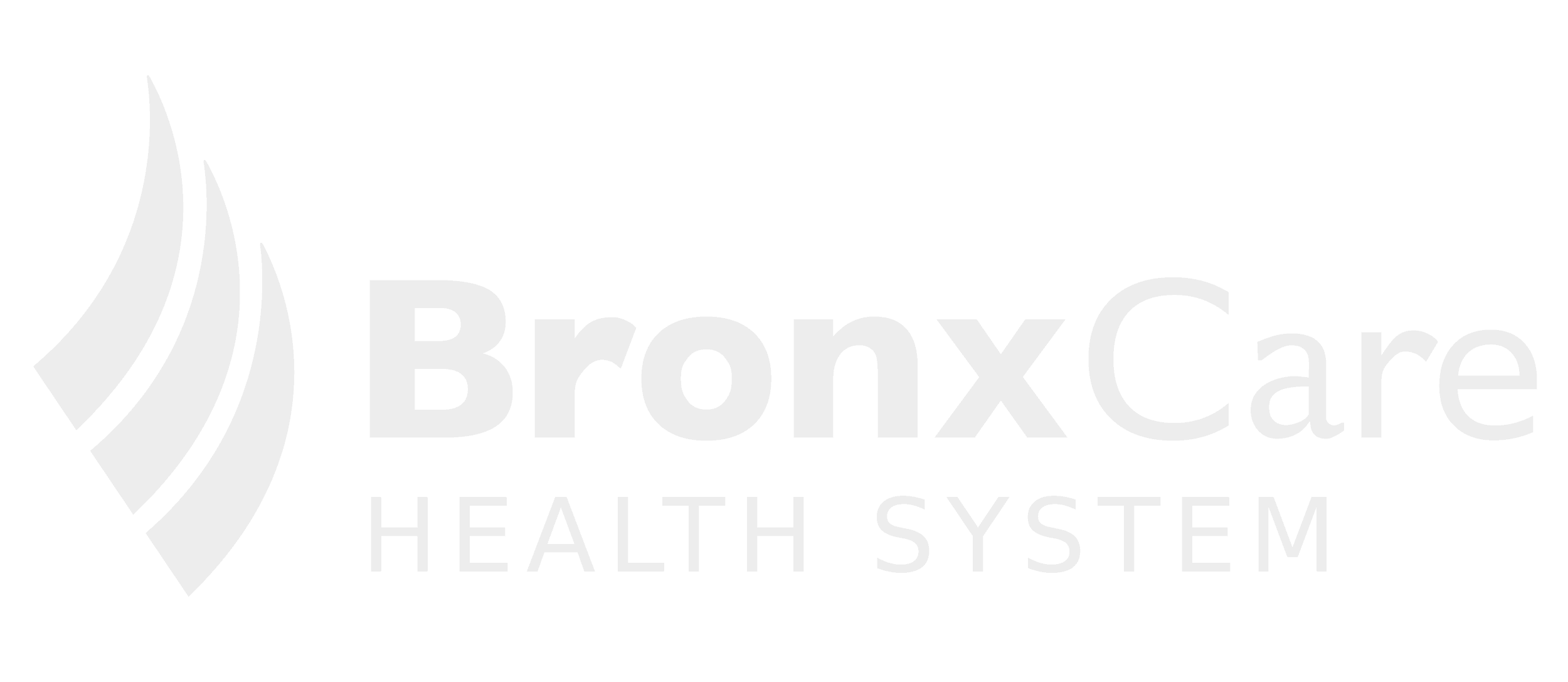 Vertex security bronxcare health system partner